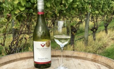 The Long Island Vineyards